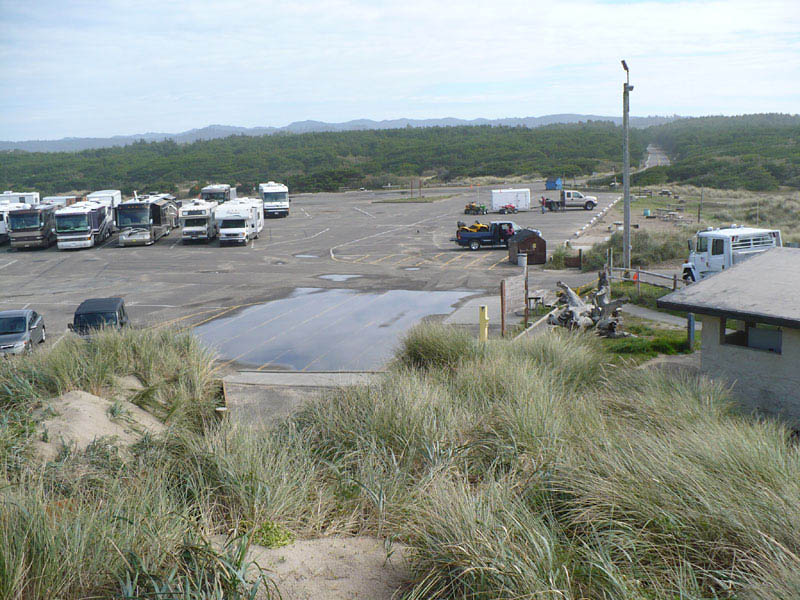 Horsfall03