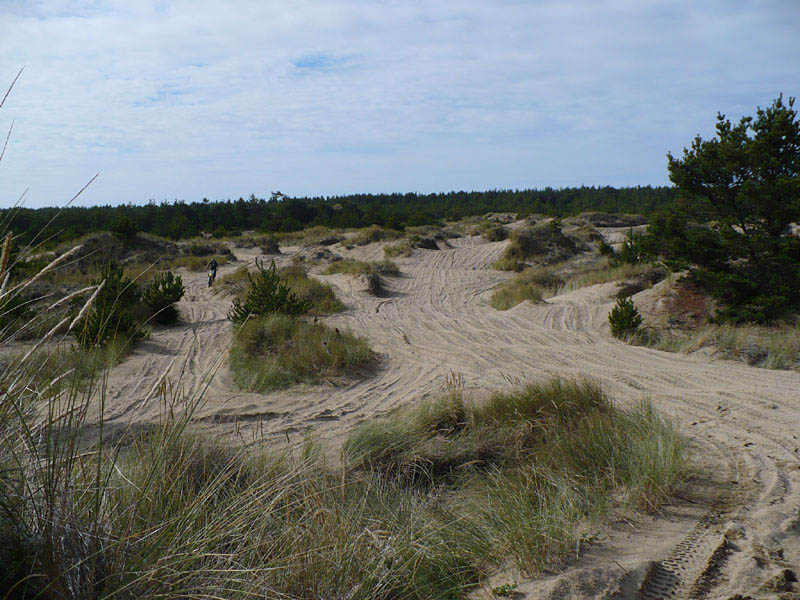 Horsfall08